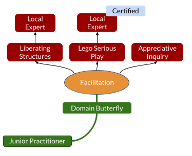 Fictive Java Expert career profile