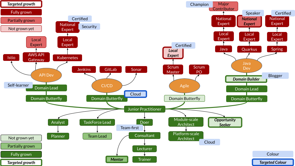 Fictive Java Expert career profile