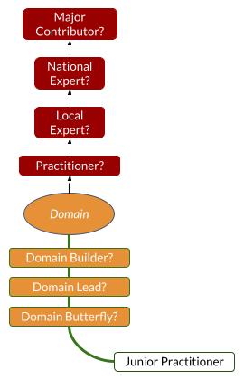 Practices and Domains steps overview